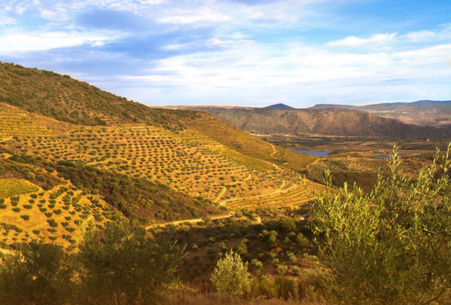 Quinta do Couquihno - Douro