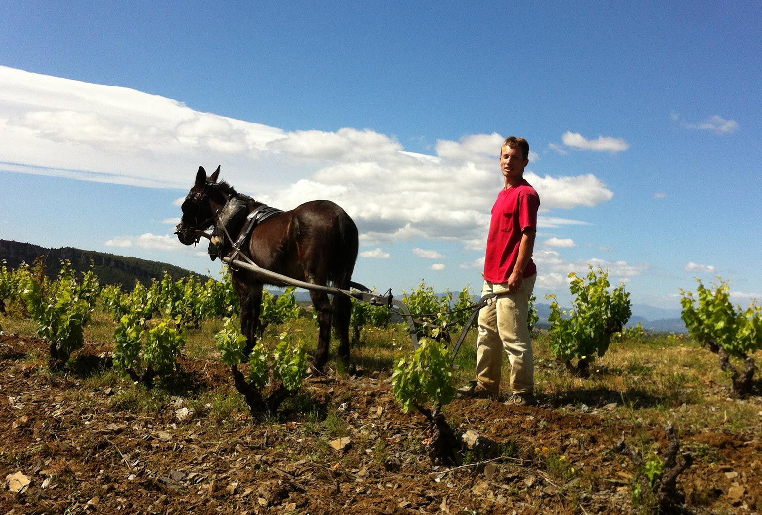 Clos Mogador - Priorat