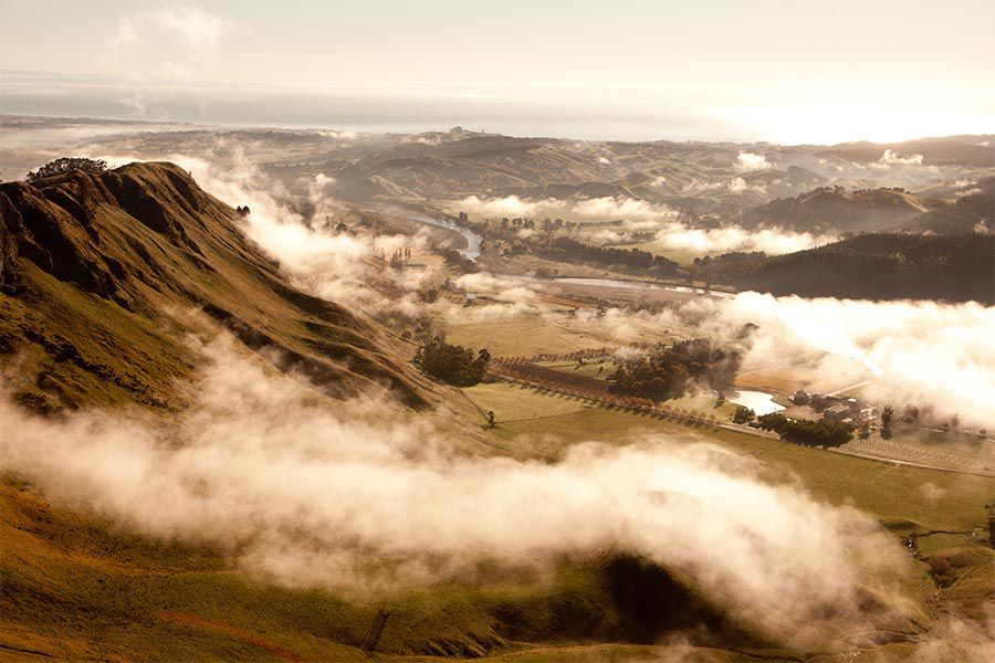 Bild: Te Mata Estate Weinberge