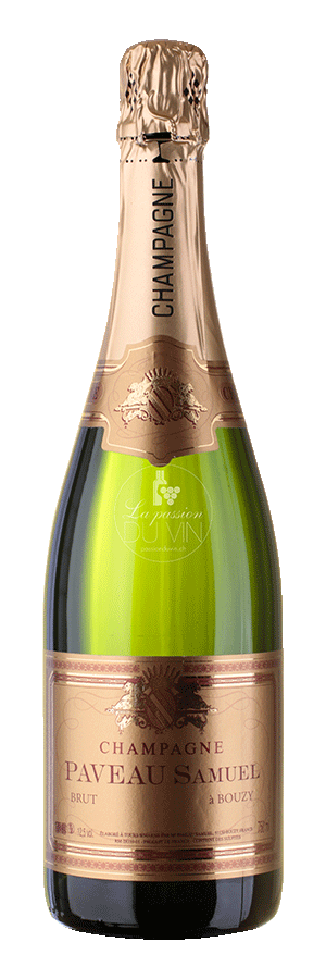 [2940000] Champagne Samuel Paveau Brut