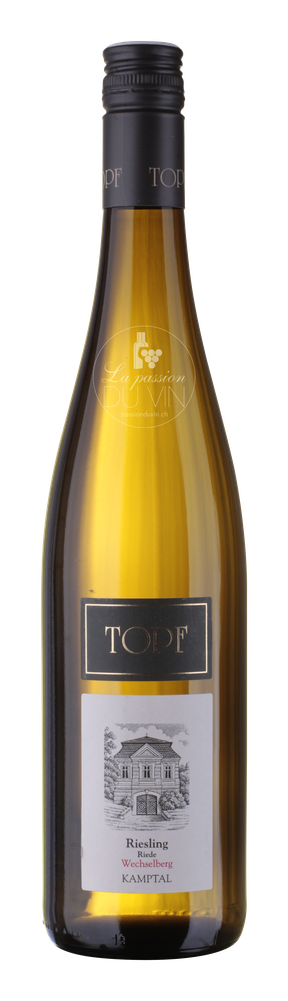 [3902022] Riesling "Wechselberg"