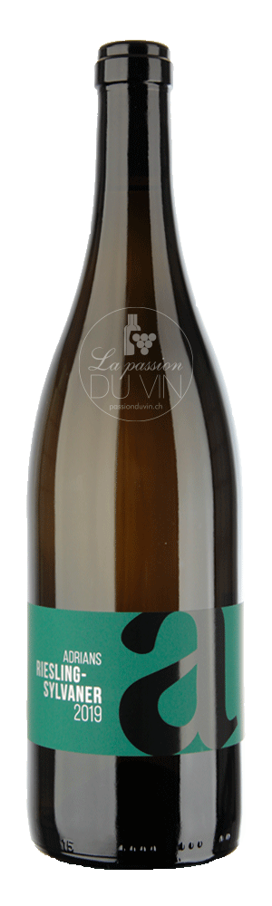 [5810022] Riesling-Sylvaner