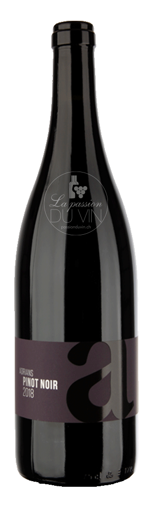 [5815022] Pinot Noir