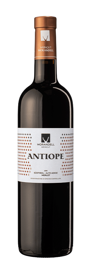 [3096525] Merlot "Antiope"