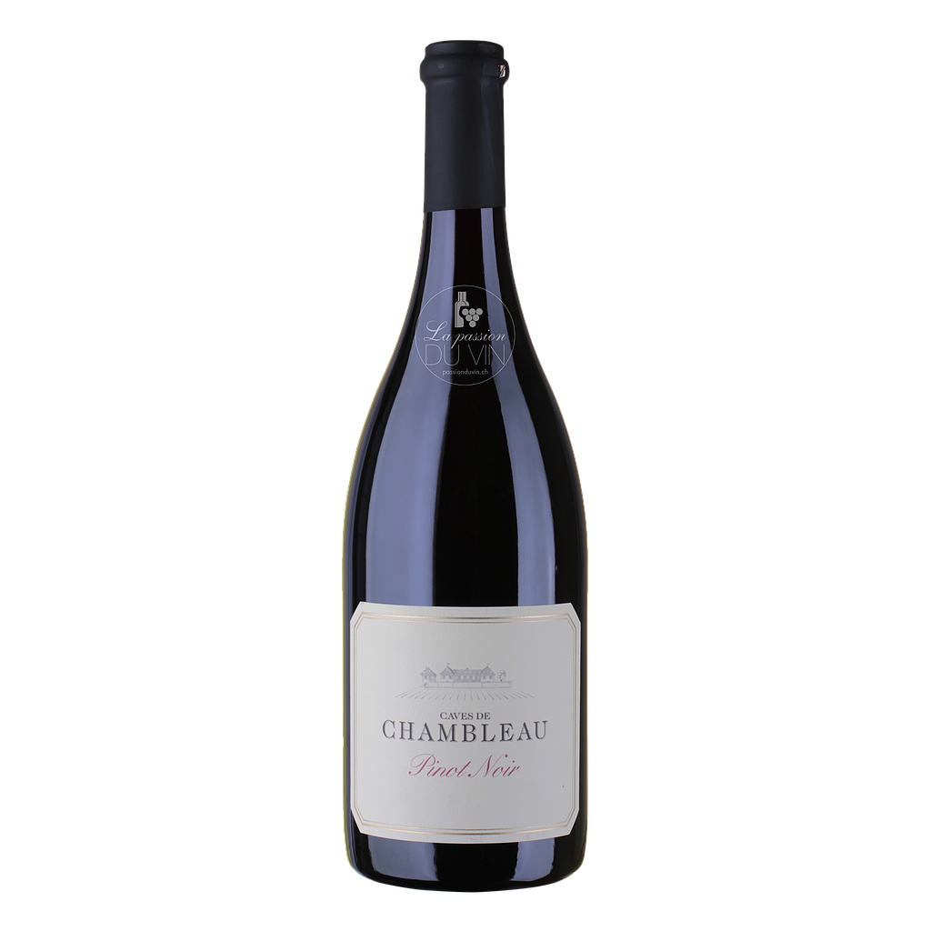 [5505024] Pinot Noir de Neuchâtel