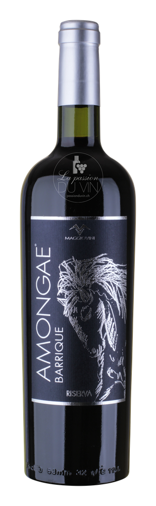 Sicilia Rosso "Amongae"
