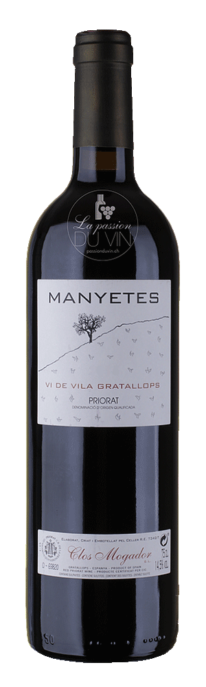 Manyetes