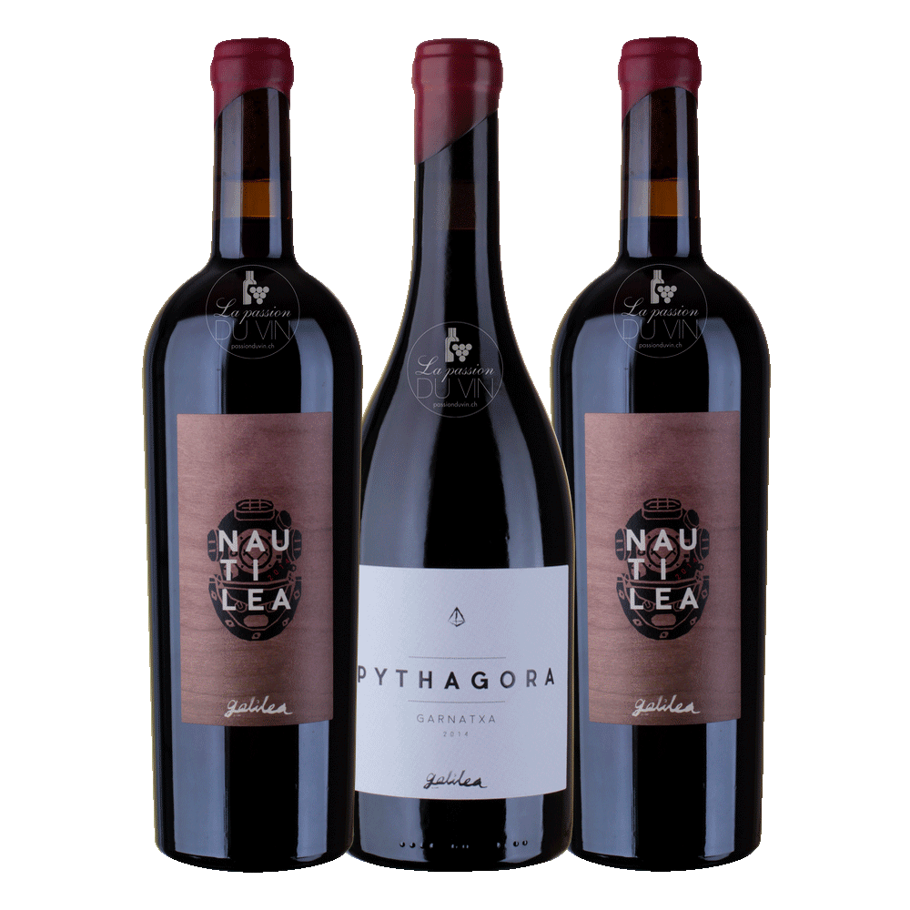 Die Interessierten "Galilea by Fiona"