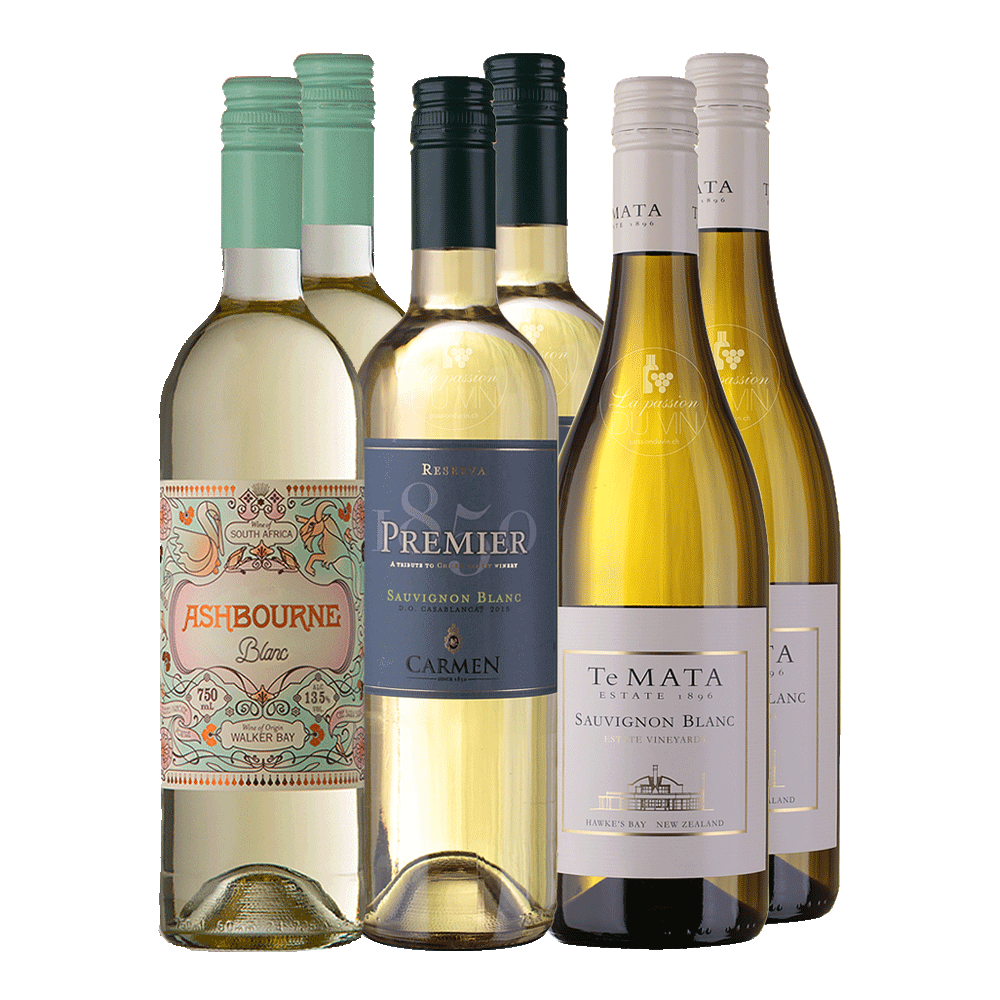 Sauvignon Blanc "Die Interessierten"