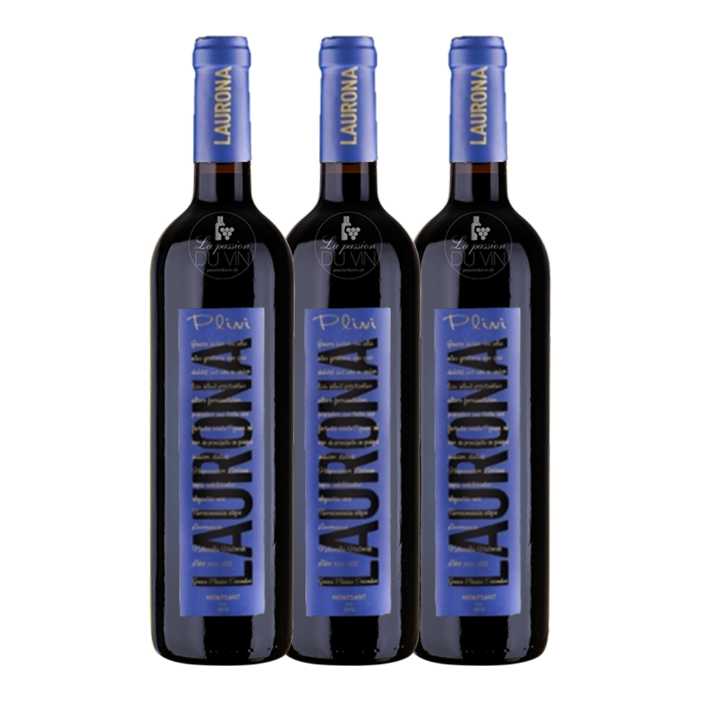 Laurona "Plini"