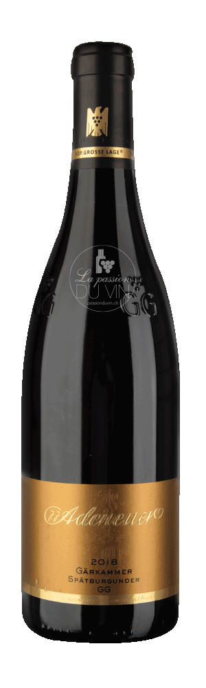 Spätburgunder "Gärkammer GG"