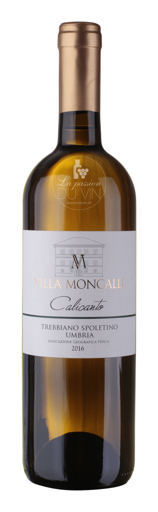Trebbiano Bianco "Spoletino"