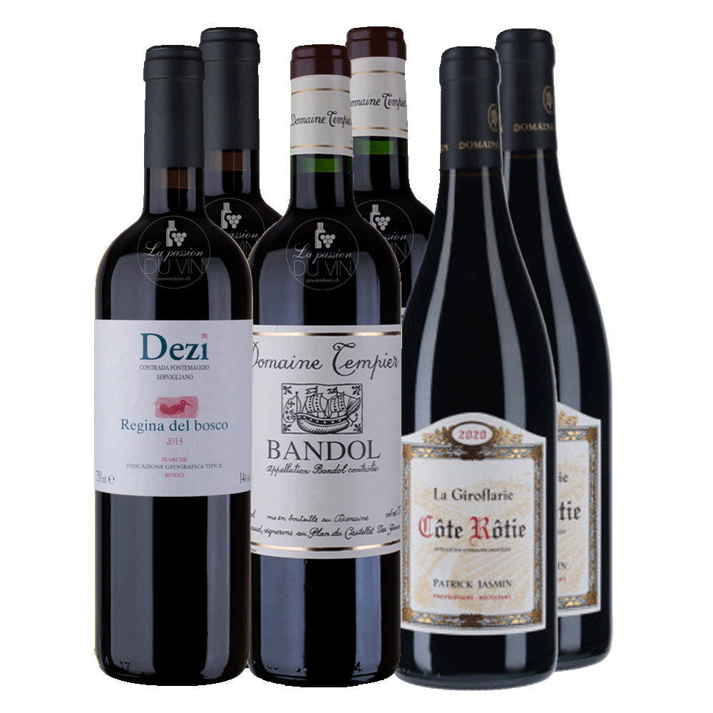 Degustationspaket "Trouvaillen 2023 Rotwein"