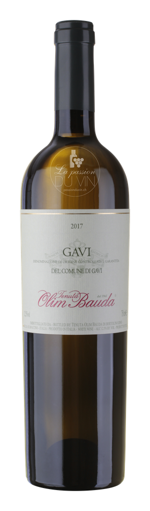 Gavi di Gavi